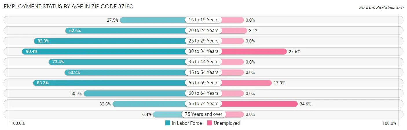 Employment Status by Age in Zip Code 37183