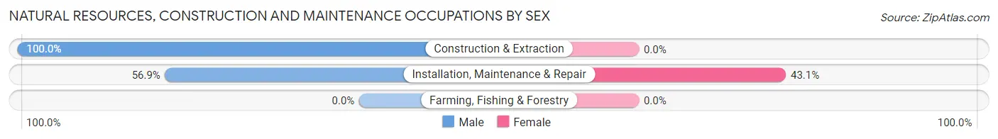 Natural Resources, Construction and Maintenance Occupations by Sex in Zip Code 37185