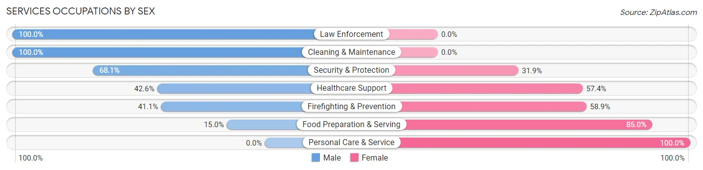 Services Occupations by Sex in Zip Code 37185