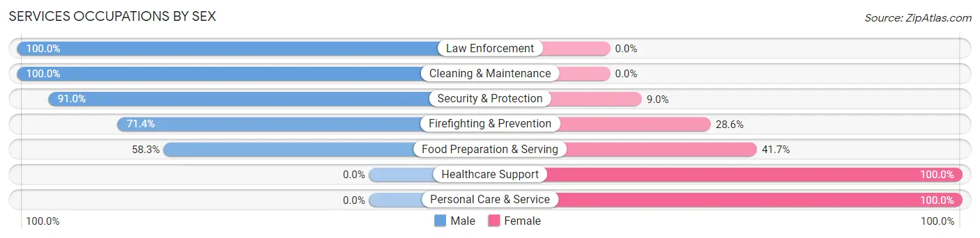 Services Occupations by Sex in Zip Code 37191