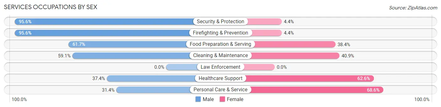 Services Occupations by Sex in Zip Code 37203