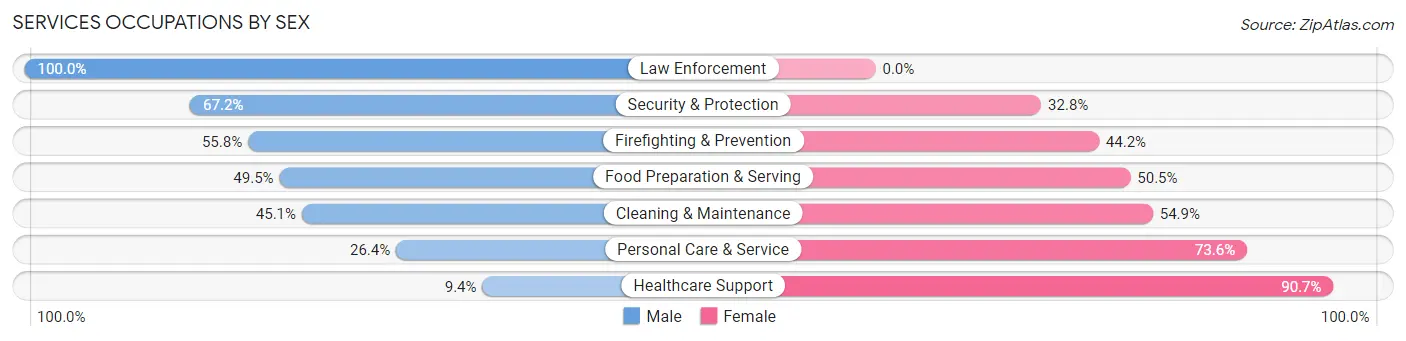 Services Occupations by Sex in Zip Code 37206