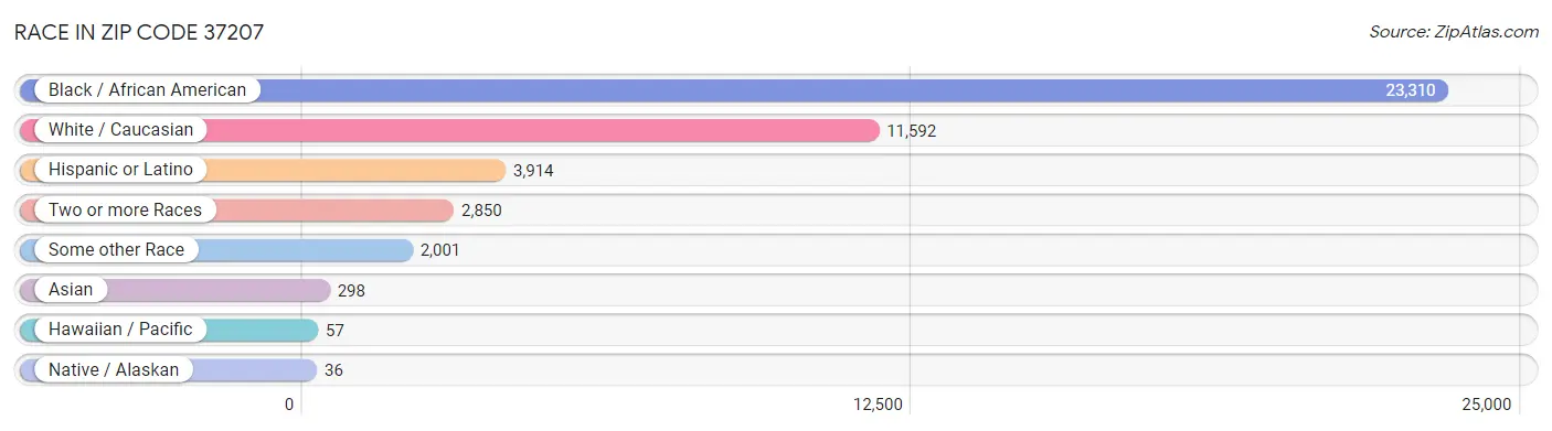 Race in Zip Code 37207