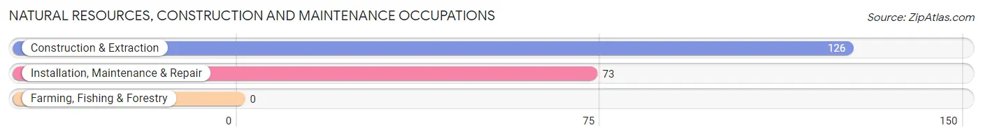 Natural Resources, Construction and Maintenance Occupations in Zip Code 37208