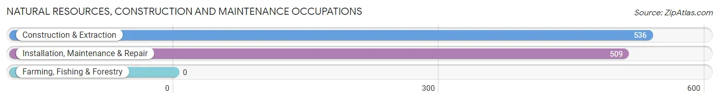 Natural Resources, Construction and Maintenance Occupations in Zip Code 37214