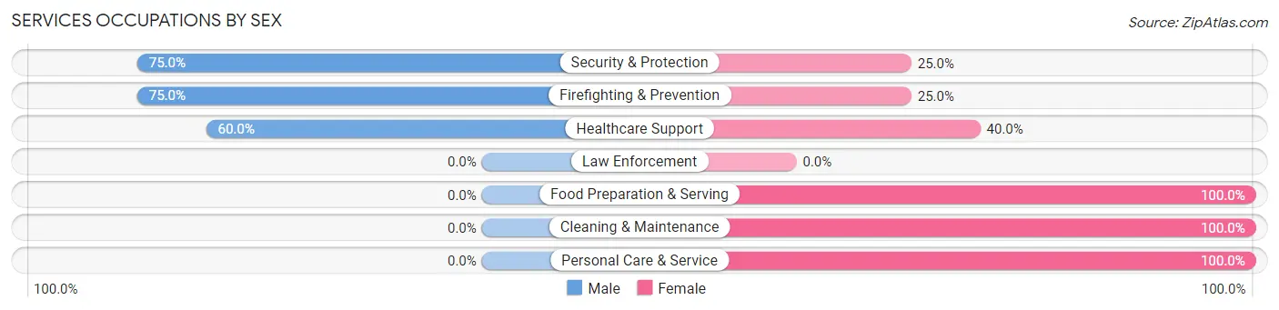 Services Occupations by Sex in Zip Code 37228