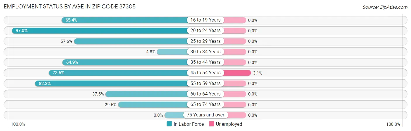 Employment Status by Age in Zip Code 37305