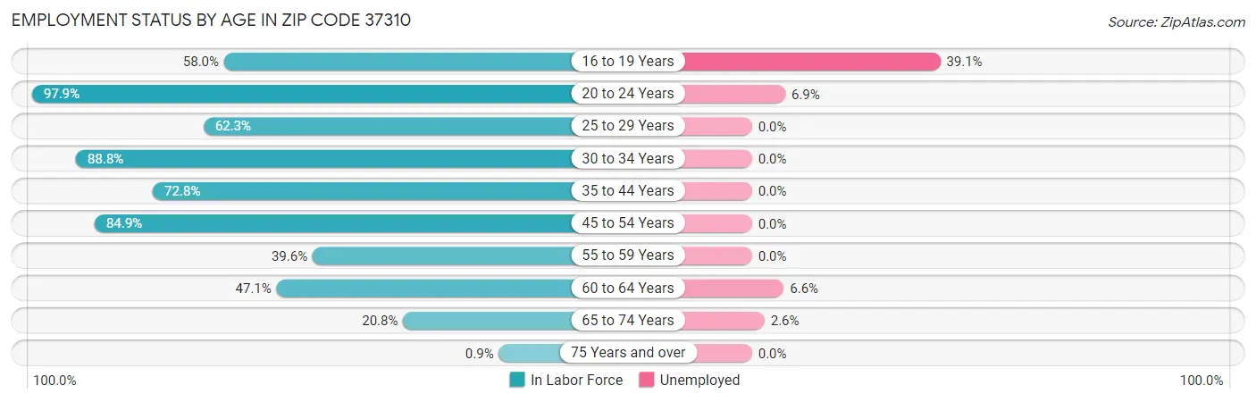 Employment Status by Age in Zip Code 37310