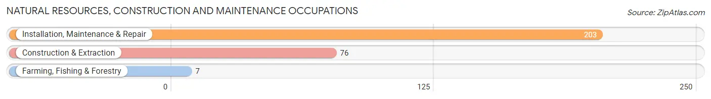 Natural Resources, Construction and Maintenance Occupations in Zip Code 37310