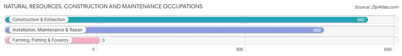 Natural Resources, Construction and Maintenance Occupations in Zip Code 37312