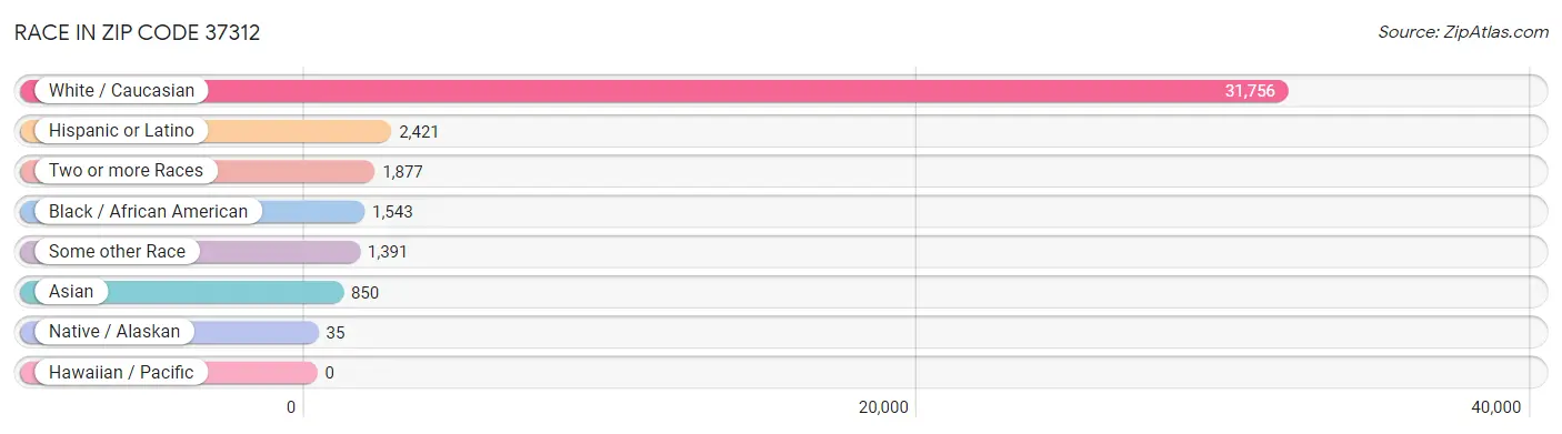 Race in Zip Code 37312