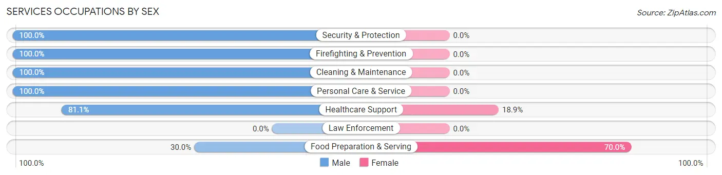 Services Occupations by Sex in Zip Code 37313