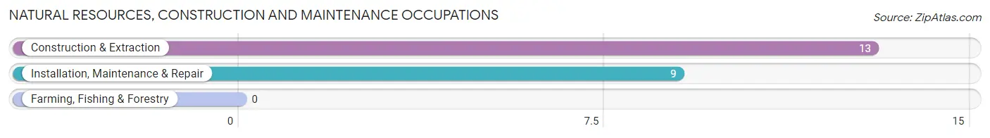 Natural Resources, Construction and Maintenance Occupations in Zip Code 37326