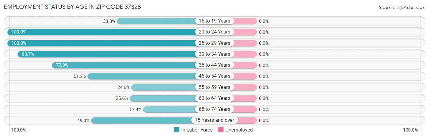 Employment Status by Age in Zip Code 37328