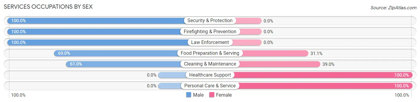 Services Occupations by Sex in Zip Code 37330