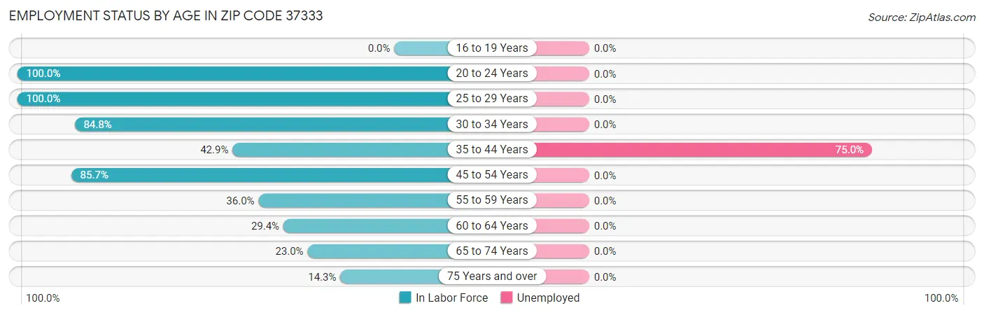 Employment Status by Age in Zip Code 37333