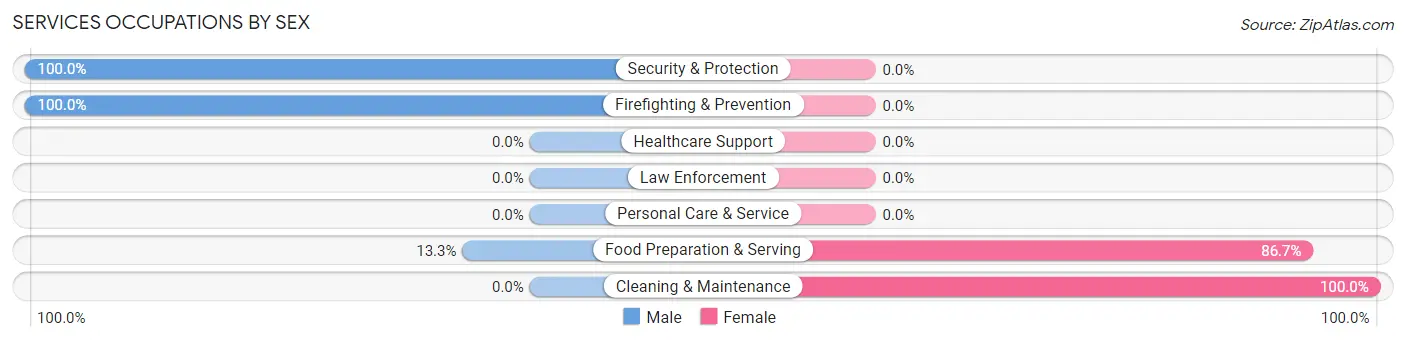 Services Occupations by Sex in Zip Code 37333