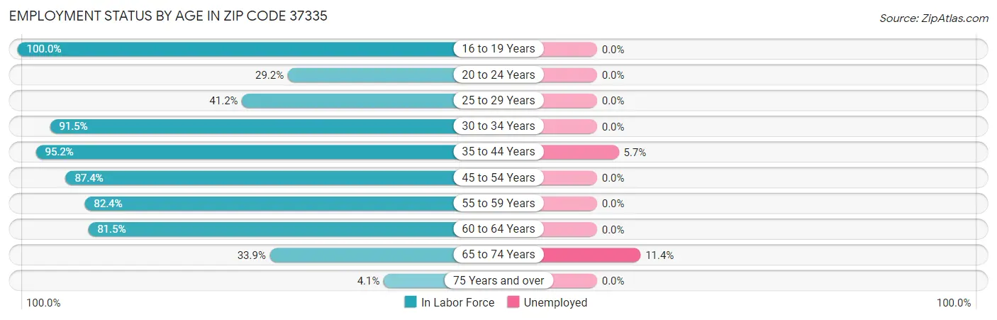 Employment Status by Age in Zip Code 37335