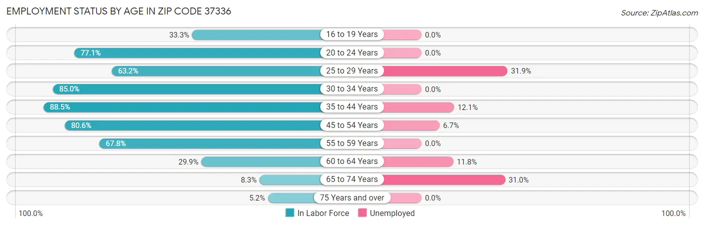 Employment Status by Age in Zip Code 37336