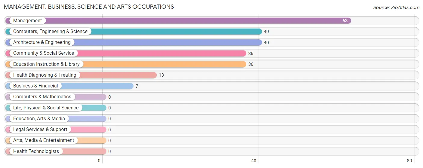 Management, Business, Science and Arts Occupations in Zip Code 37339