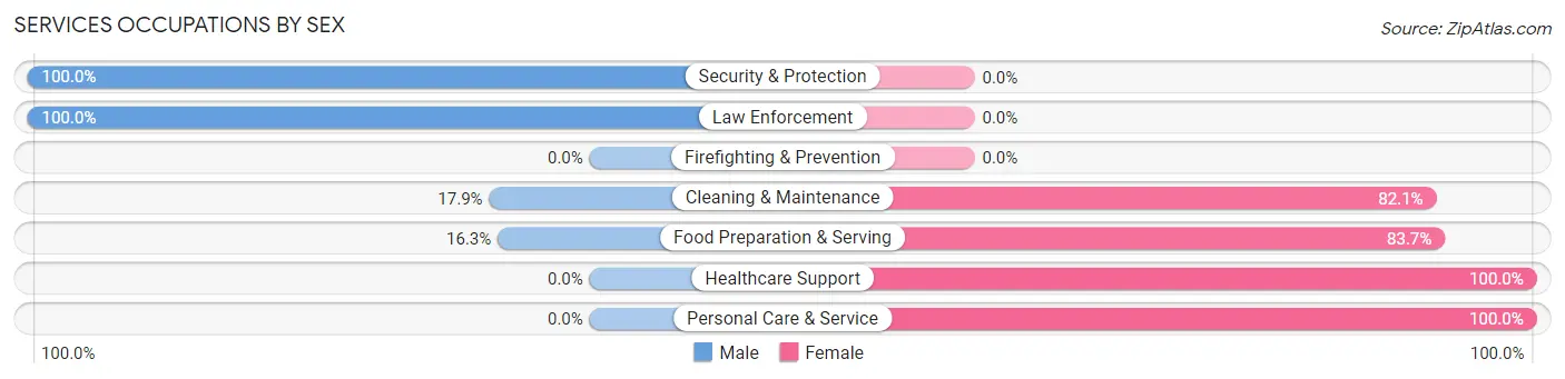 Services Occupations by Sex in Zip Code 37339