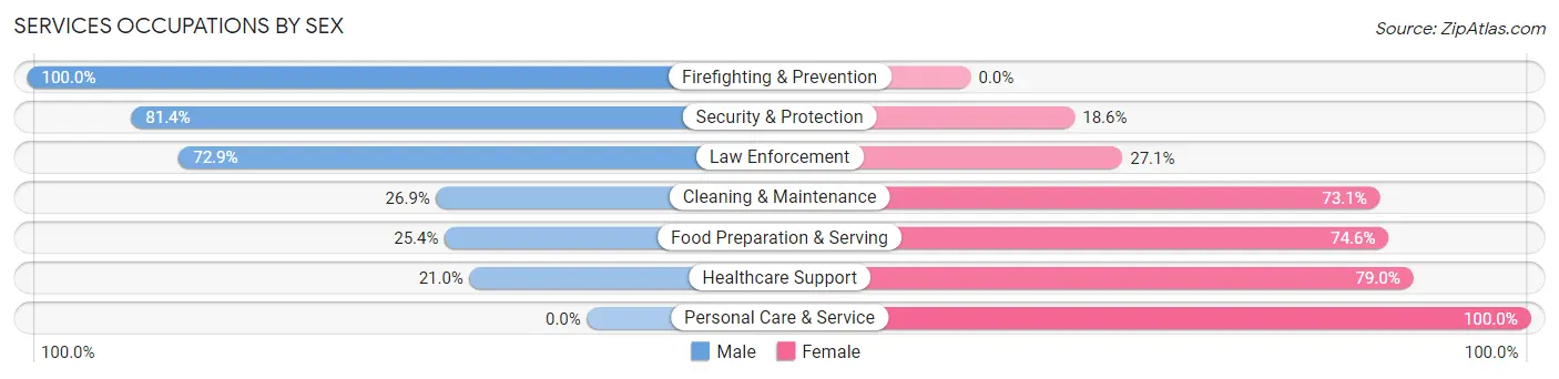 Services Occupations by Sex in Zip Code 37347