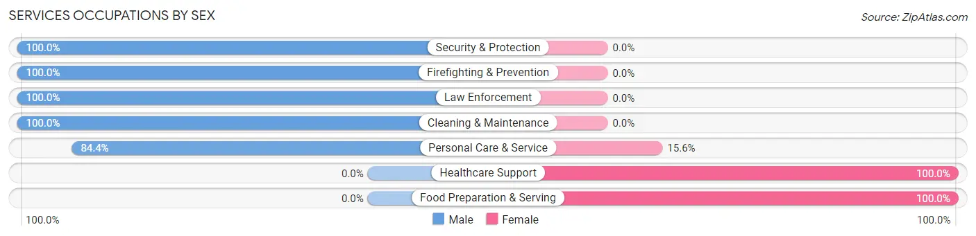 Services Occupations by Sex in Zip Code 37352