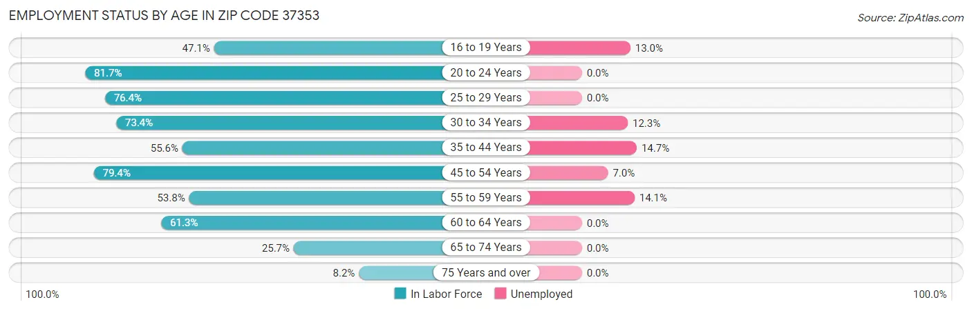 Employment Status by Age in Zip Code 37353