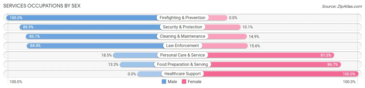 Services Occupations by Sex in Zip Code 37355