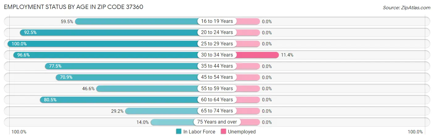 Employment Status by Age in Zip Code 37360