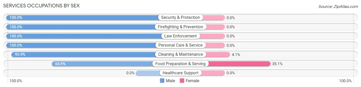 Services Occupations by Sex in Zip Code 37360