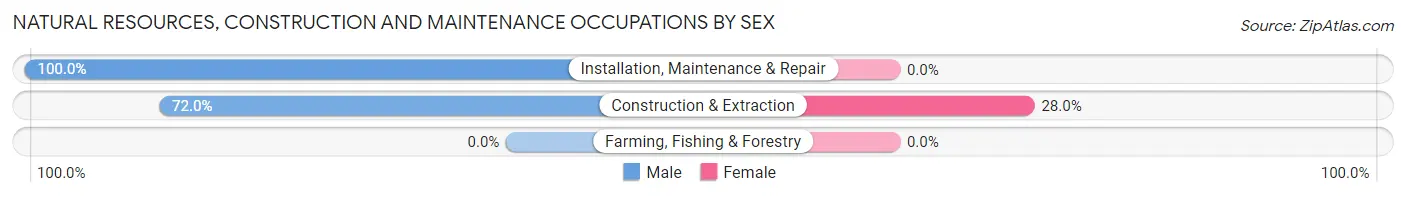 Natural Resources, Construction and Maintenance Occupations by Sex in Zip Code 37361