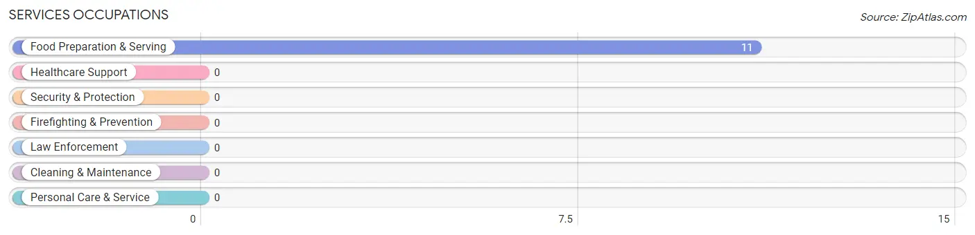 Services Occupations in Zip Code 37369