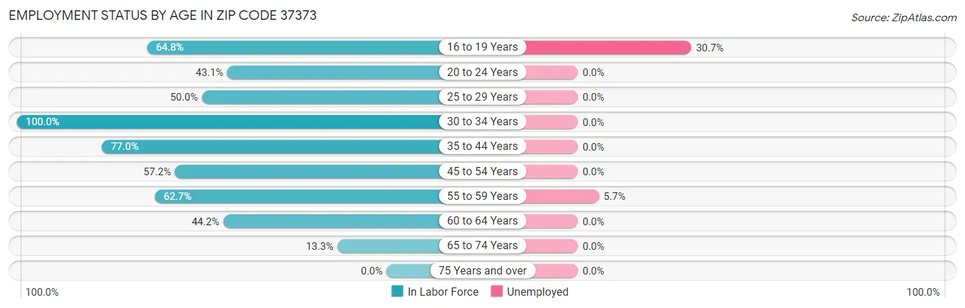 Employment Status by Age in Zip Code 37373