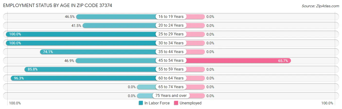 Employment Status by Age in Zip Code 37374