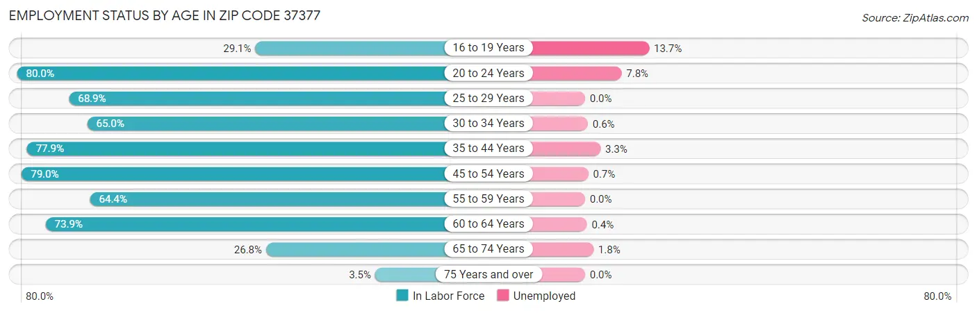 Employment Status by Age in Zip Code 37377
