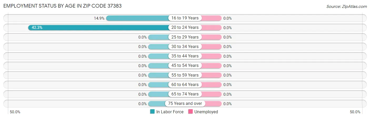 Employment Status by Age in Zip Code 37383