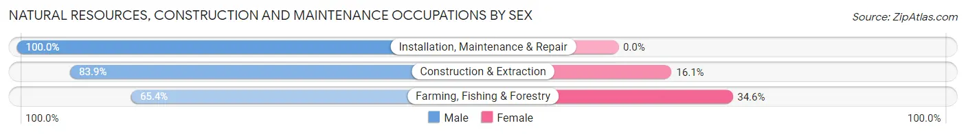 Natural Resources, Construction and Maintenance Occupations by Sex in Zip Code 37385
