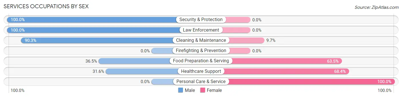 Services Occupations by Sex in Zip Code 37385