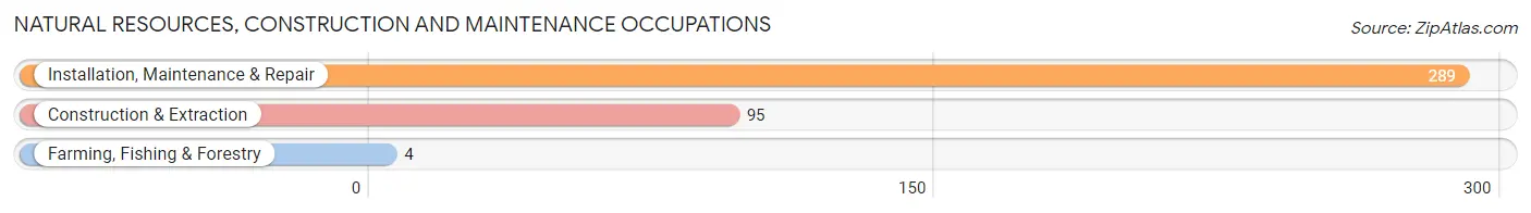 Natural Resources, Construction and Maintenance Occupations in Zip Code 37387