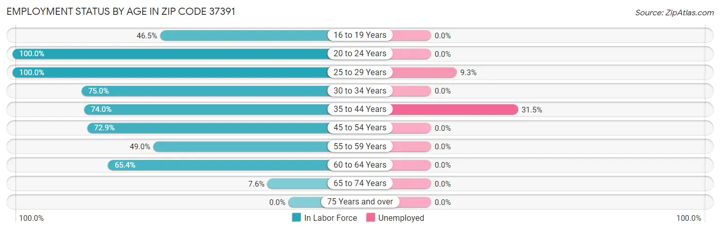 Employment Status by Age in Zip Code 37391