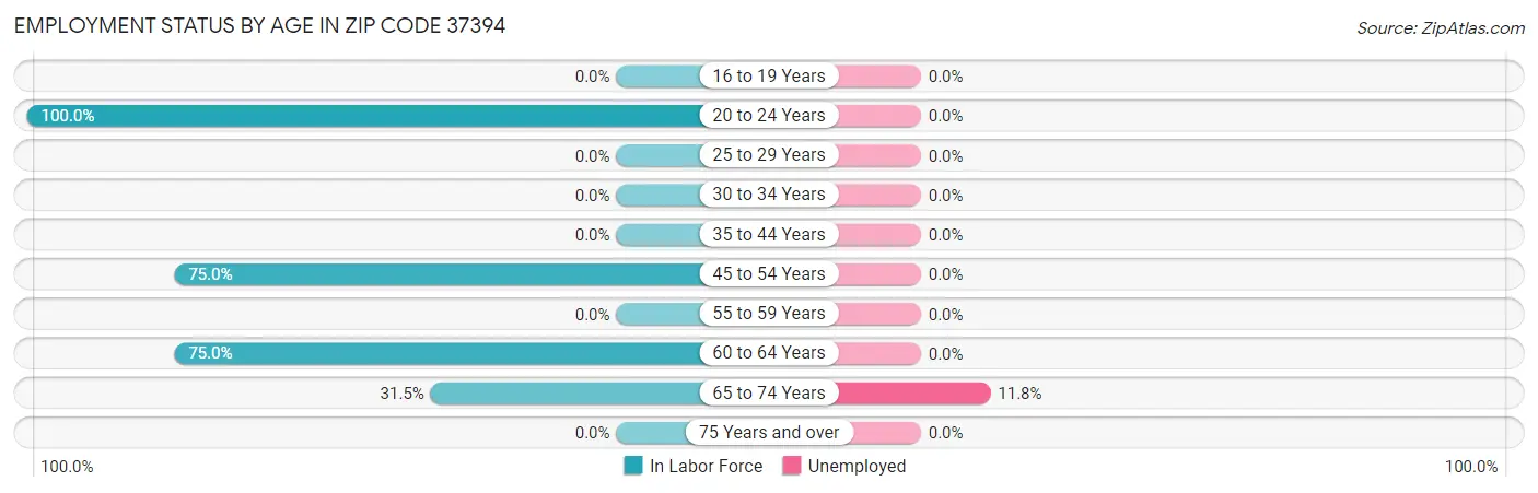 Employment Status by Age in Zip Code 37394