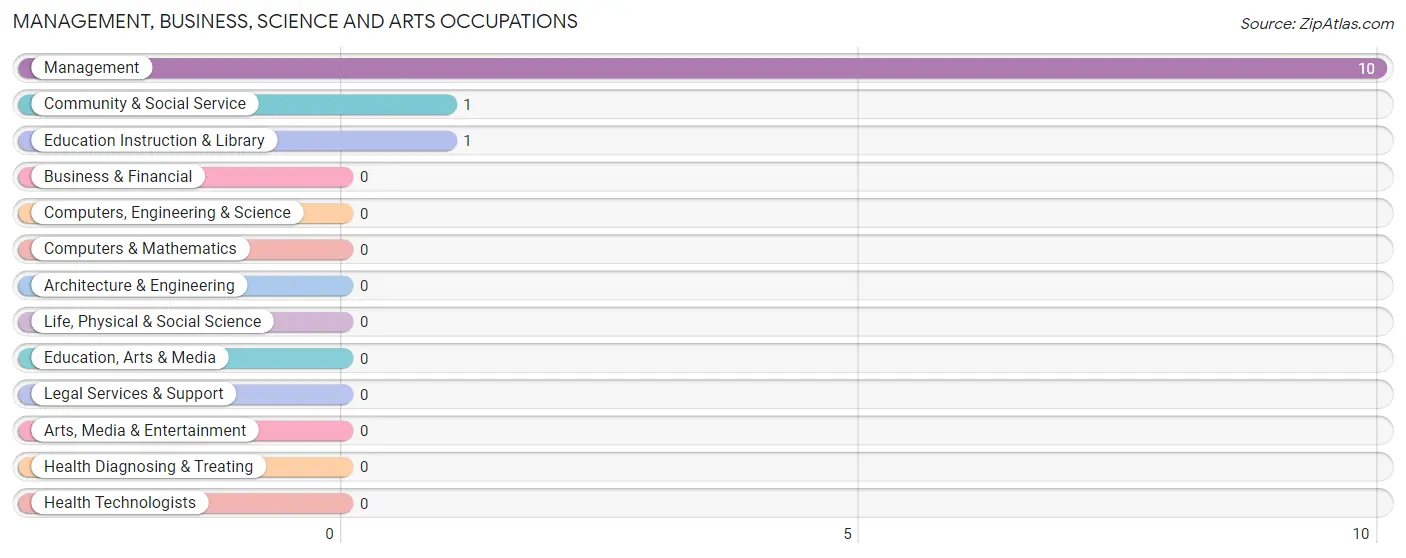 Management, Business, Science and Arts Occupations in Zip Code 37394