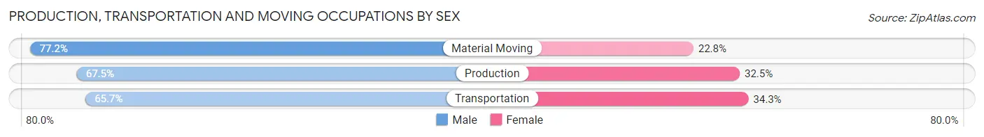 Production, Transportation and Moving Occupations by Sex in Zip Code 37404