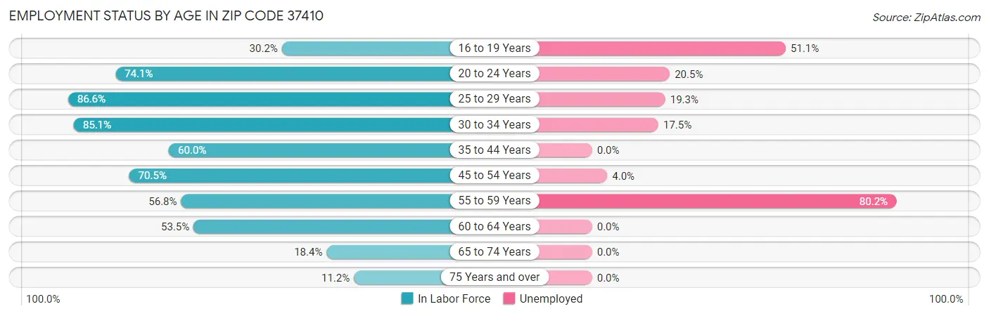 Employment Status by Age in Zip Code 37410