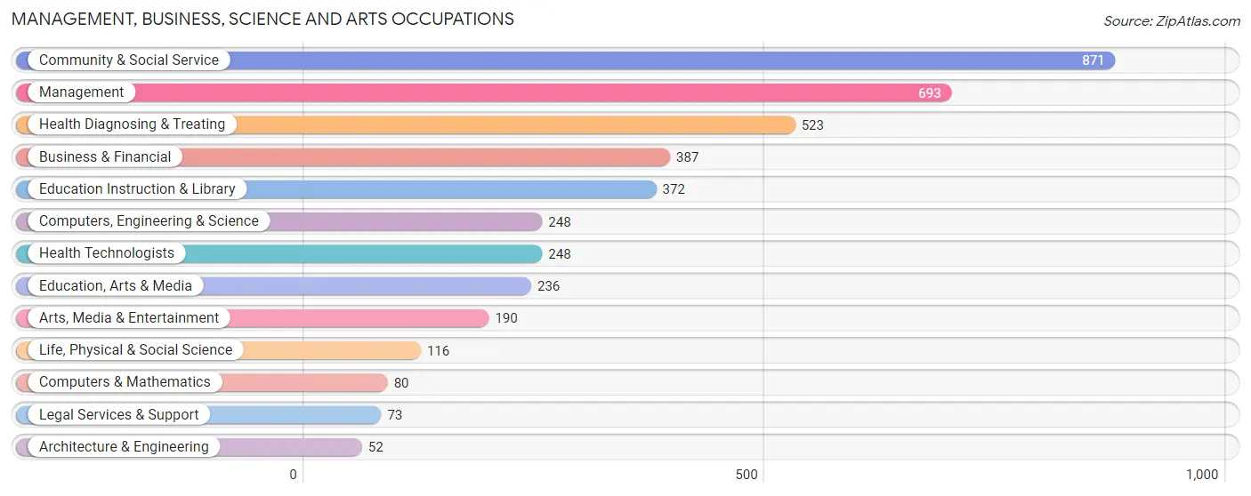 Management, Business, Science and Arts Occupations in Zip Code 37411