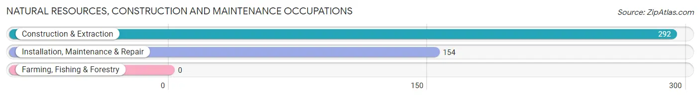 Natural Resources, Construction and Maintenance Occupations in Zip Code 37416