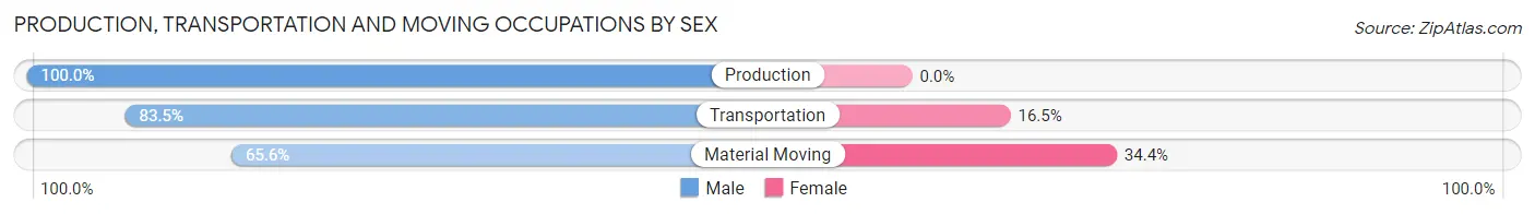 Production, Transportation and Moving Occupations by Sex in Zip Code 37419