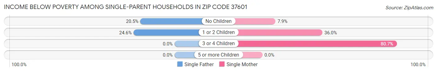 Income Below Poverty Among Single-Parent Households in Zip Code 37601