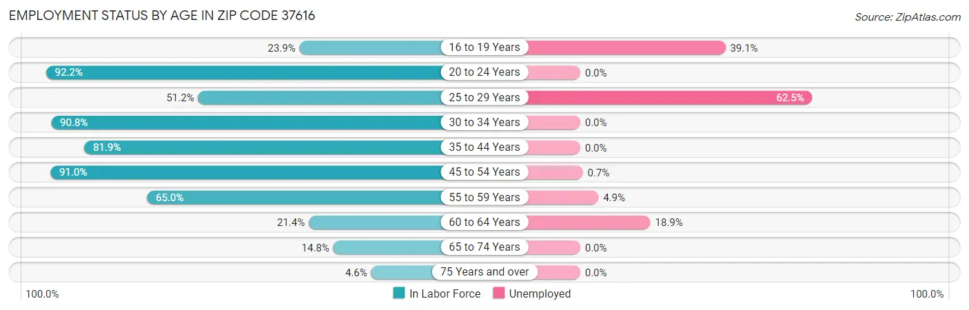 Employment Status by Age in Zip Code 37616